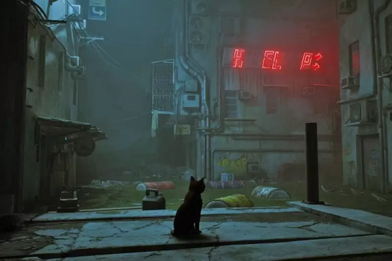 بازی Stray برای پلی استیشن 5