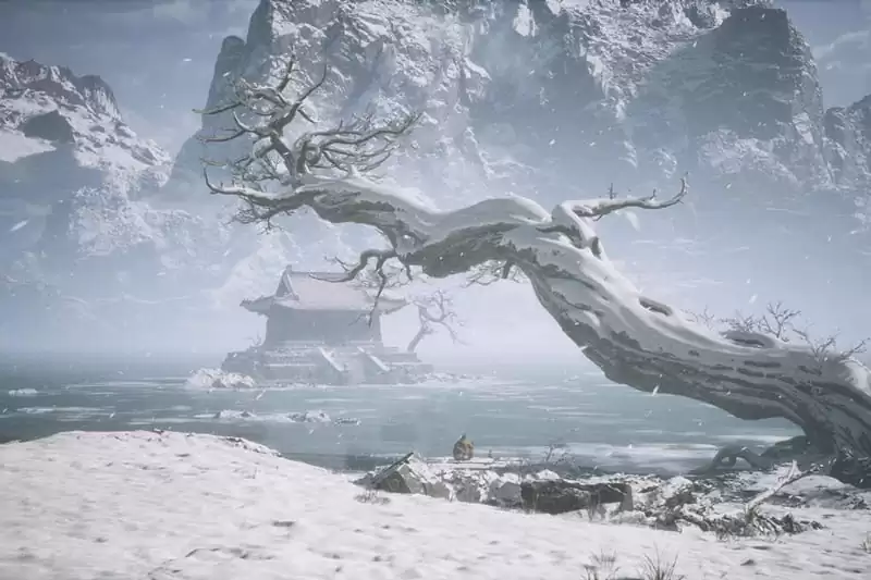 نقاط استراحت در بازی پادشاه میمون ها