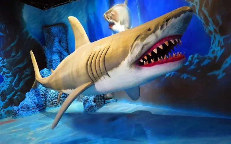 اقیانوس پارک یا پارک آبی اوشن