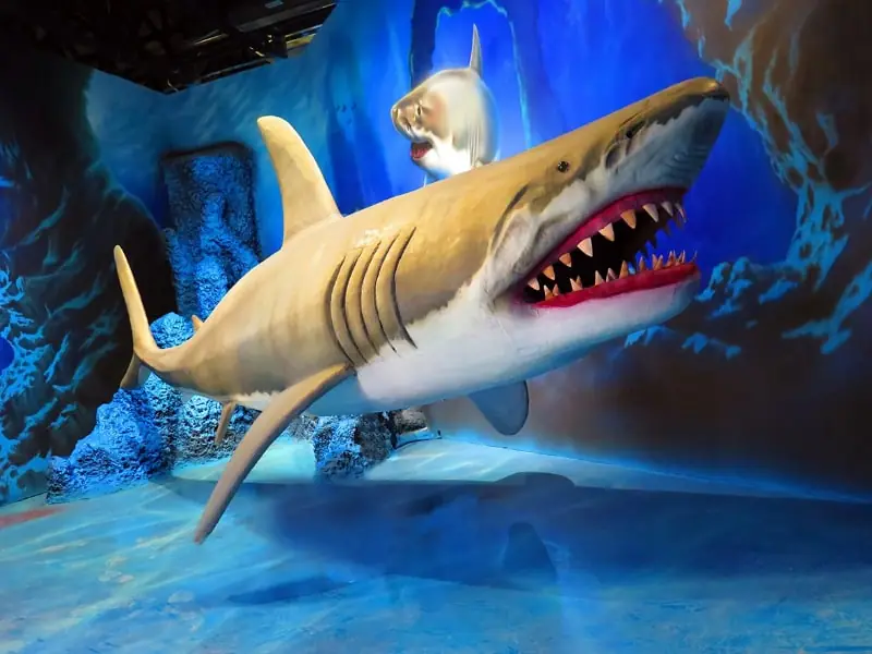 اقیانوس پارک یا پارک آبی اوشن